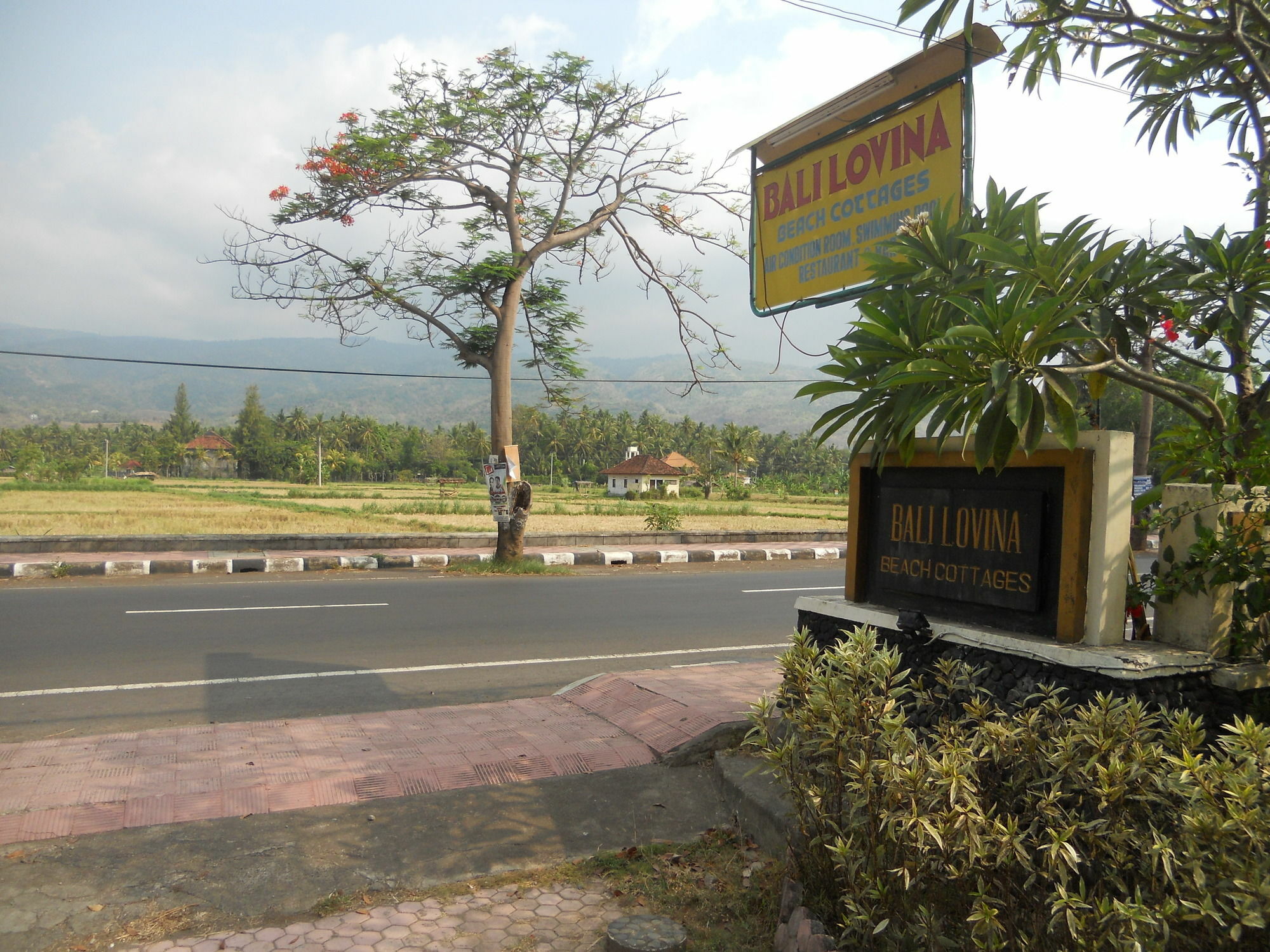 Bali Lovina Beach Cottages Buleleng  Exterior photo