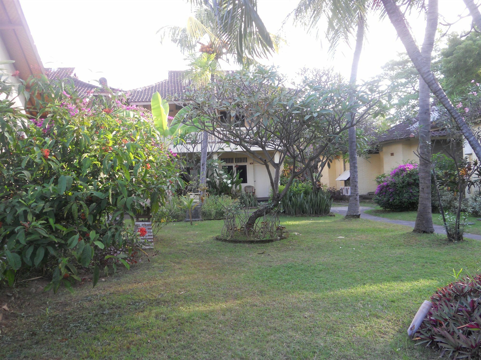 Bali Lovina Beach Cottages Buleleng  Exterior photo