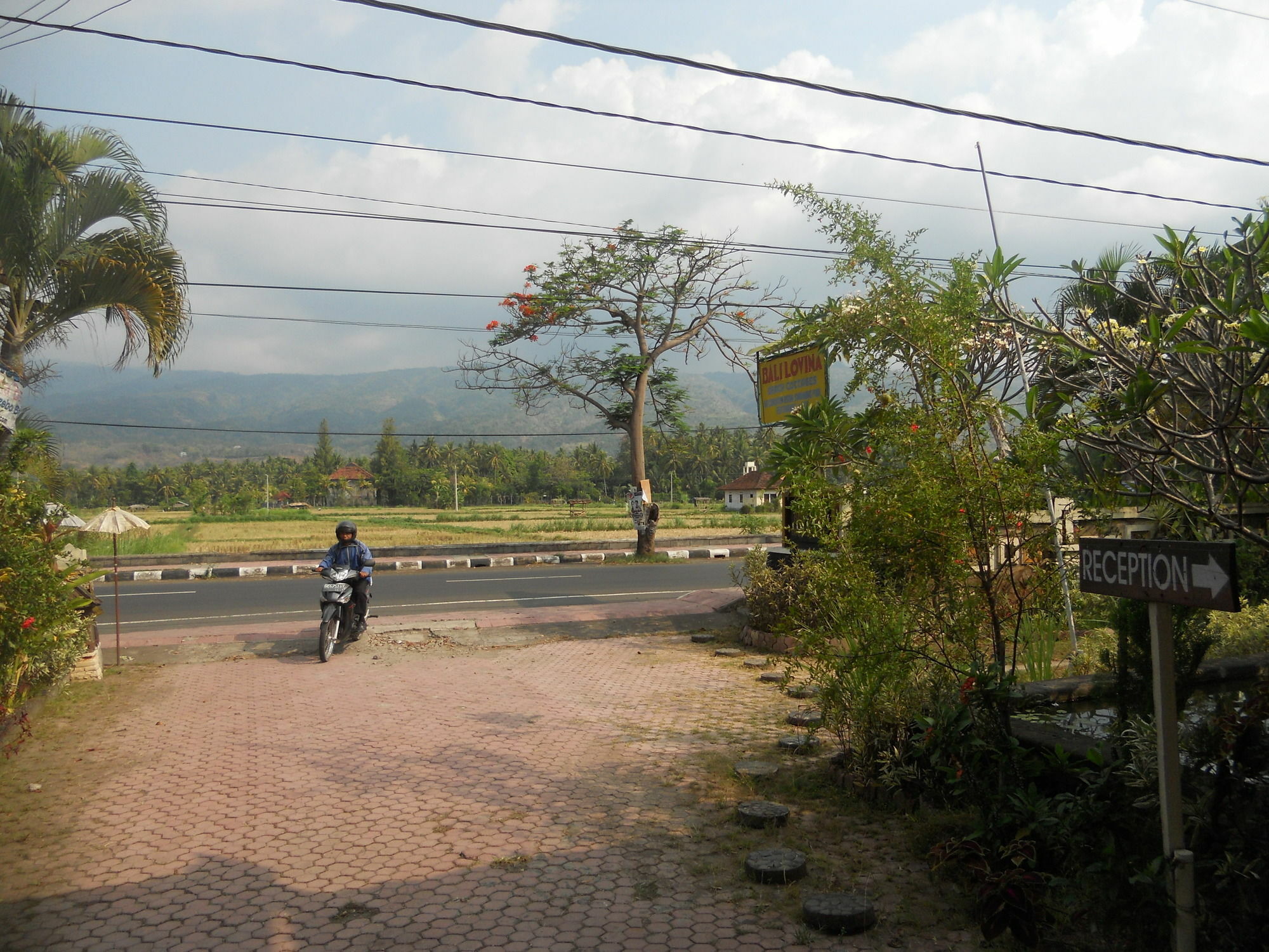 Bali Lovina Beach Cottages Buleleng  Exterior photo